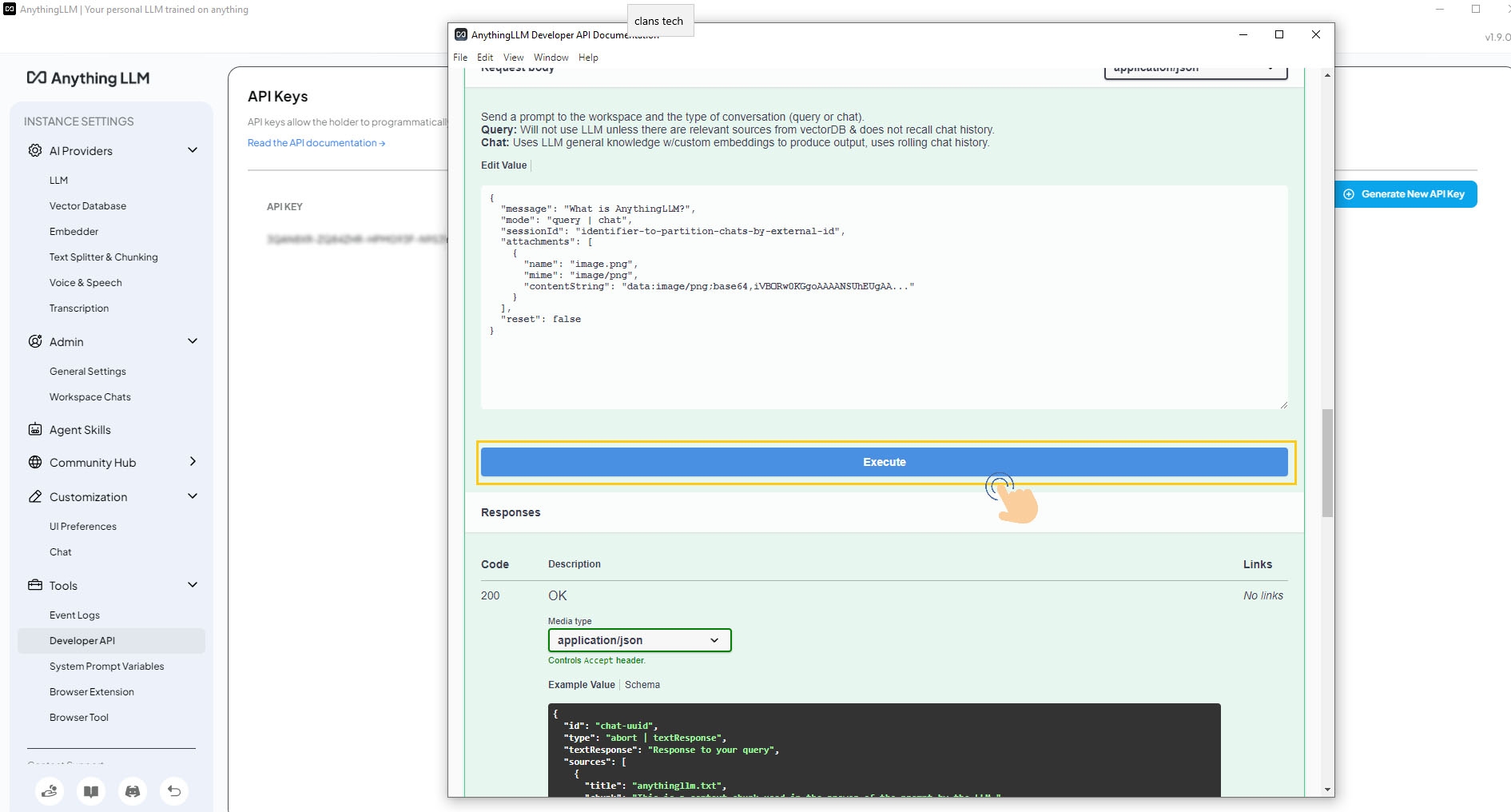 Execute button for API request submission
